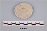 藏品(海綿)的圖片